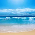 Frejus, 200 M Des Plages Appart F1 Avec Piscine